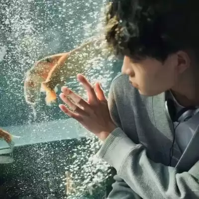 袁纪颖